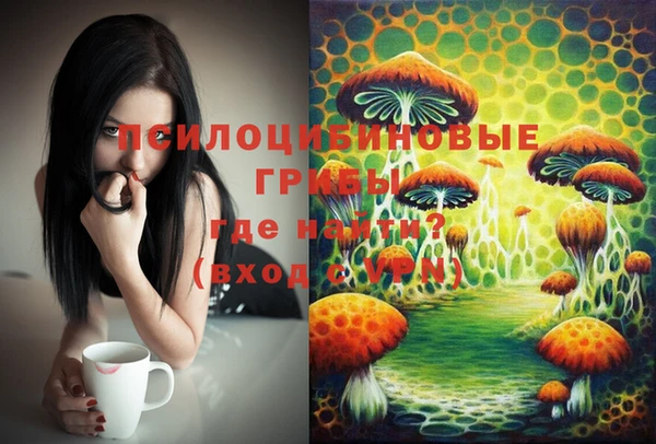mix Абаза