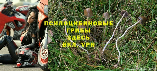 PSILOCYBIN Абдулино