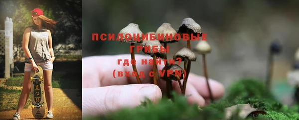 PSILOCYBIN Абдулино