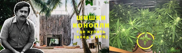 PSILOCYBIN Абдулино