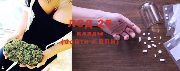 дживик Абинск