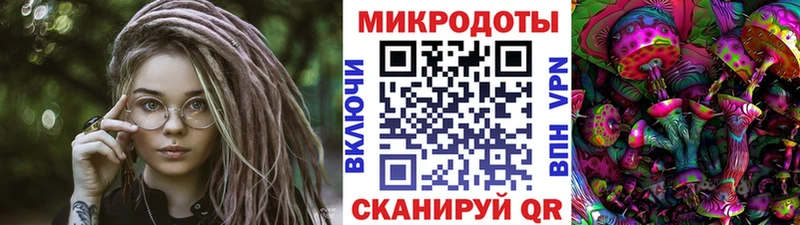 Галлюциногенные грибы Psilocybine cubensis  Барыш 